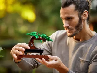 Bonsaiboompje LEGO-set afbeelding 6