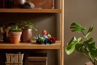 Vetplanten LEGO-set afbeelding 9