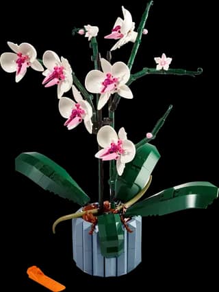 Orchidee LEGO-set