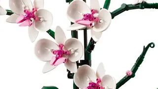 Orchidee LEGO-set afbeelding 4