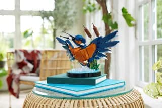 IJsvogel LEGO-set afbeelding 7