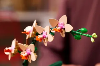 Miniorchidee LEGO-set afbeelding 4