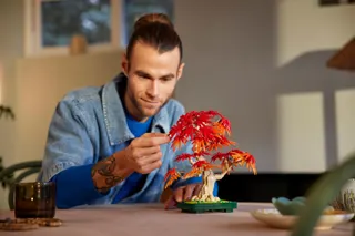Japanse esdoorn bonsaiboompje LEGO-set afbeelding 8