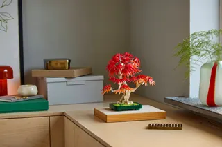 Japanse esdoorn bonsaiboompje LEGO-set afbeelding 9