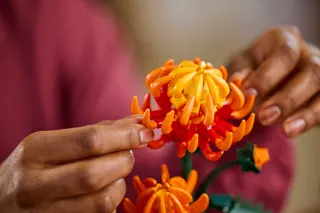 Chrysant LEGO-set afbeelding 4