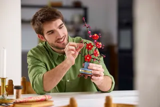 Japanse abrikoos LEGO-set afbeelding 8