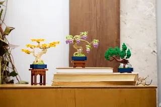 Mini bonsaiboompjes LEGO-set afbeelding 13