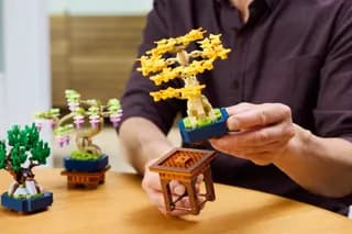 Mini bonsaiboompjes LEGO-set afbeelding 6