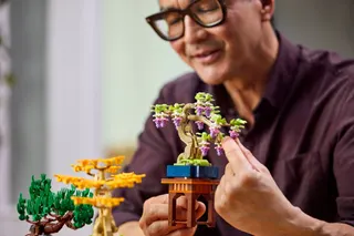 Mini bonsaiboompjes LEGO-set afbeelding 7