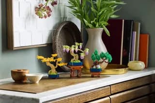 Mini bonsaiboompjes LEGO-set afbeelding 11