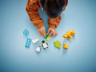 Families van wilde dieren: pinguïns en leeuwen LEGO-set afbeelding 6
