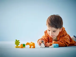 Families van wilde dieren: pinguïns en leeuwen LEGO-set afbeelding 7