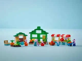 De tuin en kas van Opa Big LEGO-set afbeelding 7
