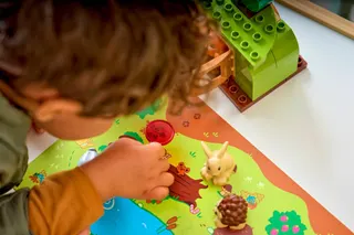 Ontdekkingsbos met wilde dieren LEGO-set afbeelding 11