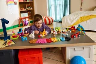 Kleurrijke creatieve stenen LEGO-set afbeelding 18