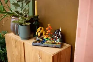 Herfsttuin met cottage LEGO-set afbeelding 16