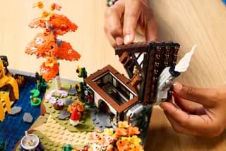 Herfsttuin met cottage LEGO-set afbeelding 11