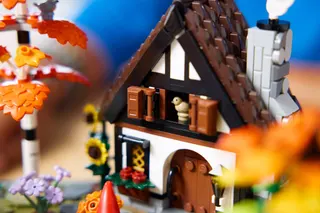 Herfsttuin met cottage LEGO-set afbeelding 12