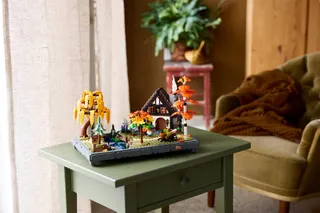 Herfsttuin met cottage LEGO-set afbeelding 14