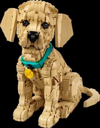 Golden retriever puppy LEGO-set