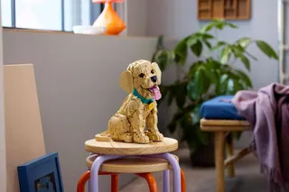 Golden retriever puppy LEGO-set afbeelding 14