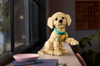 Golden retriever puppy LEGO-set afbeelding 15