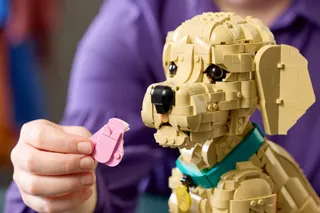 Golden retriever puppy LEGO-set afbeelding 6