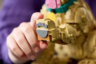 Golden retriever puppy LEGO-set afbeelding 7