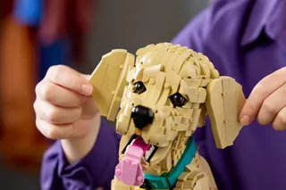 Golden retriever puppy LEGO-set afbeelding 8