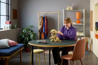 Golden retriever puppy LEGO-set afbeelding 13