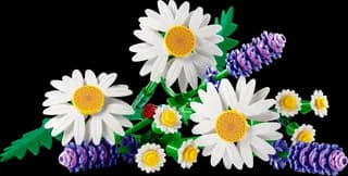 Madeliefjes LEGO-set