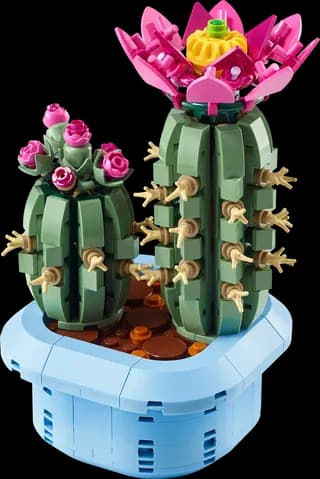 Bloeiende cactus LEGO-set