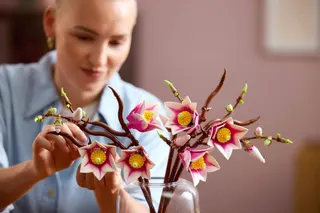 Magnoliatakken LEGO-set afbeelding 15
