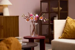 Magnoliatakken LEGO-set afbeelding 17