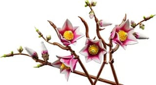 Magnoliatakken LEGO-set afbeelding 4