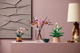 Magnoliatakken LEGO-set afbeelding 13
