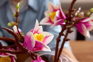 Magnoliatakken LEGO-set afbeelding 7