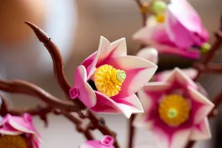 Magnoliatakken LEGO-set afbeelding 10