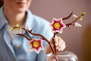 Magnoliatakken LEGO-set afbeelding 11