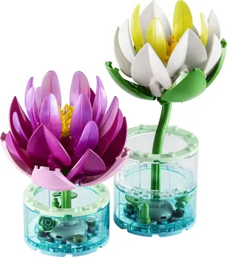 Waterlelies LEGO-set