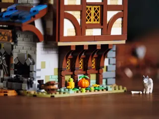 Medieval Blacksmith LEGO-set afbeelding 17