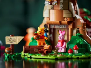 Winnie the Pooh LEGO-set afbeelding 18