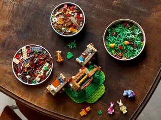 Winnie the Pooh LEGO-set afbeelding 19