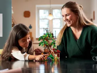 Winnie the Pooh LEGO-set afbeelding 21