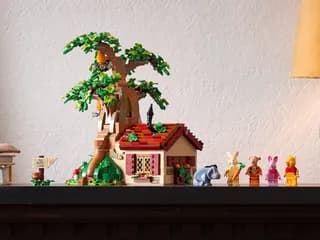Winnie the Pooh LEGO-set afbeelding 27