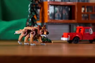 Twilight: Het huis van de familie Cullen LEGO-set afbeelding 5