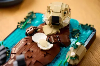 Drijvende zeeotters LEGO-set afbeelding 9