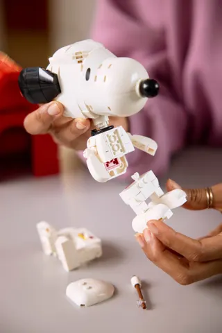Peanuts: Snoopy's hondenhok LEGO-set afbeelding 8