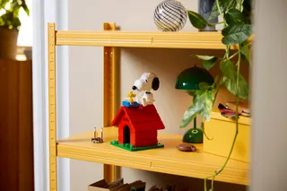 Peanuts: Snoopy's hondenhok LEGO-set afbeelding 12