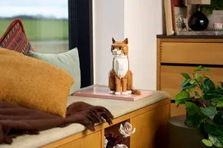 Oranje kat LEGO-set afbeelding 13